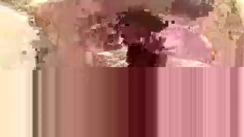 hornieecum online show from February 11, 11:43 am