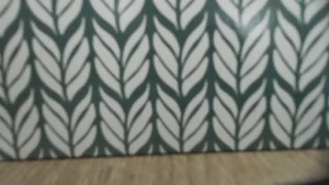 Jan online show from January 4, 8:49 am