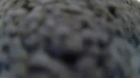 DildoDaddy online show from April 2, 6:49 pm