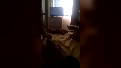 hornyteam102833 online show from July 12, 7:21 am