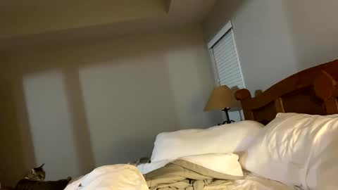 hottiewithabody101 online show from October 6, 3:11 am