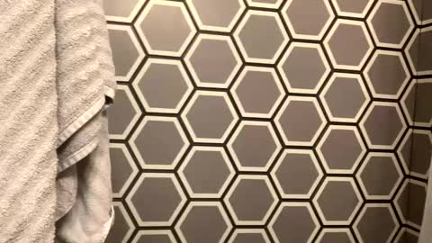 hottiewithabody101 online show from October 24, 2:46 am