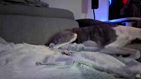 Hugo online show from March 10, 8:12 pm