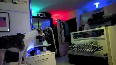 Hugo online show from February 22, 8:48 pm