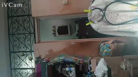 if_song_115 online show from February 18, 11:41 am