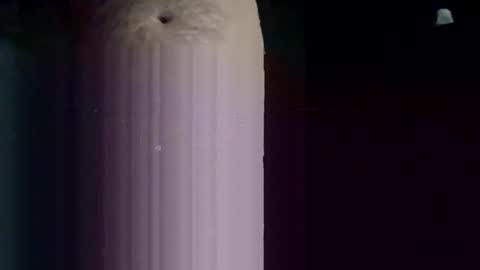 imafktoy online show from December 21, 7:49 am