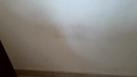 improta81 online show from February 24, 9:43 am