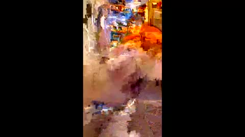 indegeniouscreature online show from December 14, 8:54 am