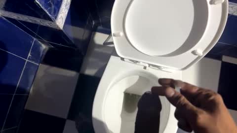 indian1433 online show from November 27, 4:00 pm