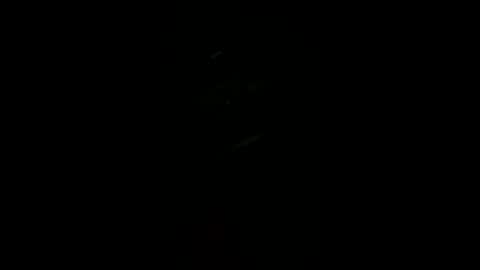 Rocco online show from December 17, 11:50 am