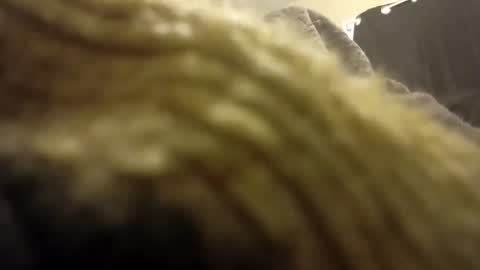 internationalwang online show from March 10, 2:48 pm