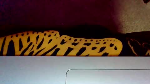 islandmaker online show from October 21, 7:28 pm