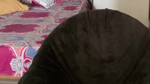 Raje online show from October 29, 2:36 am