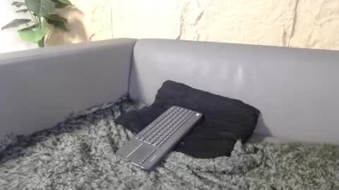 Jackson online show from February 25, 9:49 pm