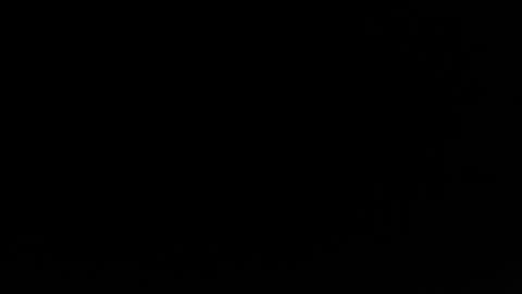 jacksonp41 online show from May 20, 11:11 pm