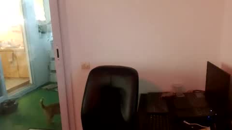 Jamie Lonnas online show from January 13, 1:48 pm