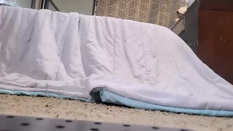 Bootyshows online show from February 20, 3:47 pm