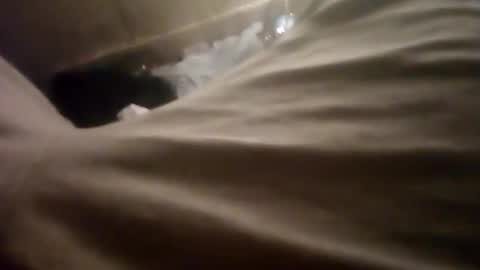 jass6942069 online show from November 5, 2:30 pm