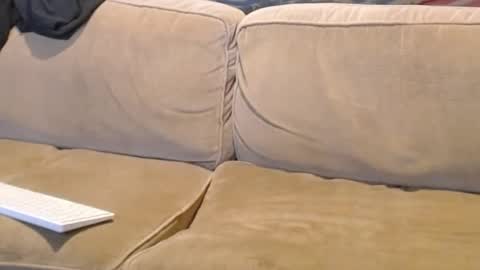 O F   jay short786 online show from February 17, 4:48 pm