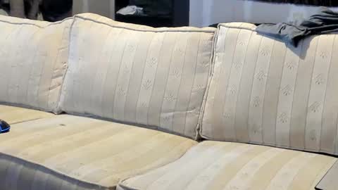 O F   jay short786 online show from September 26, 6:49 pm