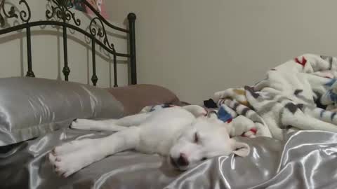 Jack online show from February 2, 7:51 am