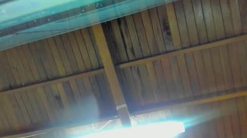 Snapshot of jeicob_gagnon chatting on September 15, 1:52 am jeicob gagnon online show from September 15, 1:52 am