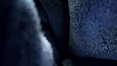 Join me online show from February 8, 10:29 am