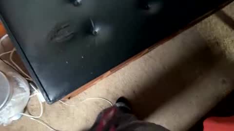 Jeremys room chill and puff one enjoy online show from November 17, 8:56 pm