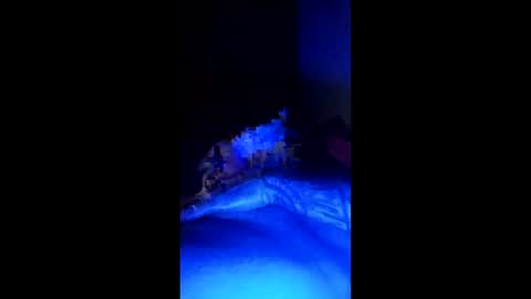 jetjon762844 online show from February 19, 7:16 am