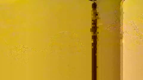 jiger1234 online show from December 14, 1:45 am