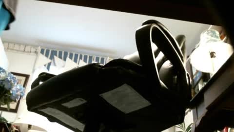 jimwellhung online show from November 16, 2:08 pm