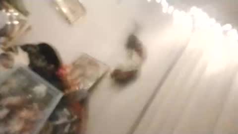 joggedin online show from March 7, 11:52 am