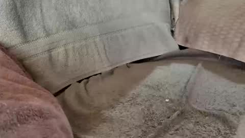 jonnyb42 online show from November 15, 7:10 am