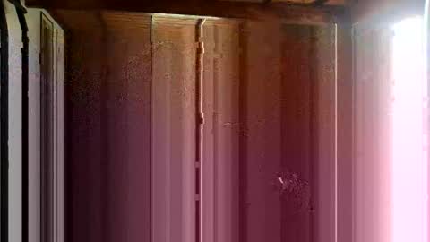 juji39 online show from November 8, 1:58 pm