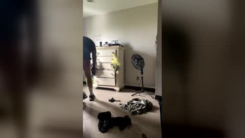 junosphboi online show from April 3, 3:31 pm