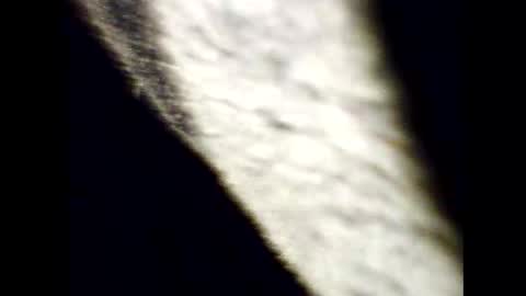 justcamfun4u online show from January 2, 7:40 pm