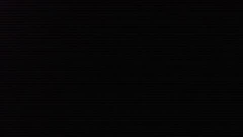 Neon online show from November 8, 12:30 pm