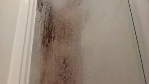 ke855420 online show from November 13, 7:46 am