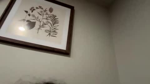 keegandaddy4200 online show from November 5, 8:49 am