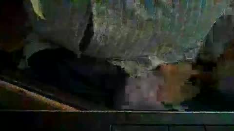 KENDREKO online show from April 5, 4:42 am