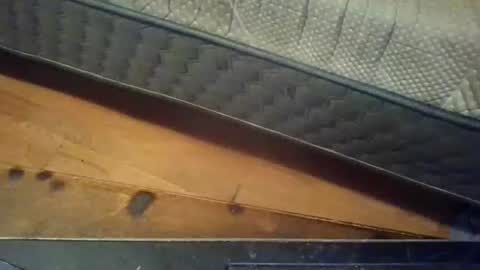 KENDREKO online show from March 8, 1:25 am