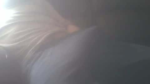 Snapshot of kiko83c chatting on February 18, 8:27 am New accound cavilacion online show from February 18, 8:27 am