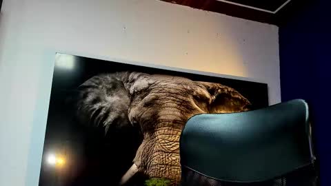 Angel Falconer online show from November 27, 3:21 am