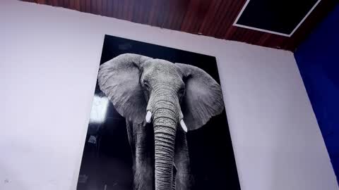 Angel Falconer online show from October 22, 2:59 am