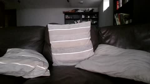 Knight3975 online show from March 25, 2:21 pm