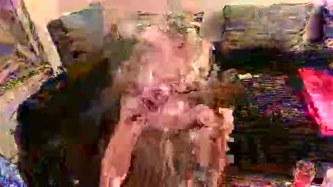 kobinus online show from January 4, 3:17 pm