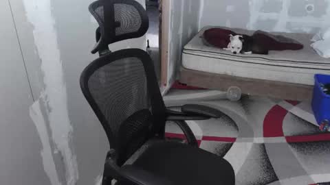 l1v1nth3dr3am online show from September 10, 2:54 am