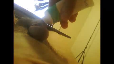 latin_pap online show from December 20, 11:06 am