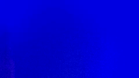 LickYourYoni online show from February 23, 3:05 pm