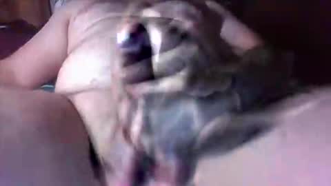 litwinpaweel online show from December 13, 11:55 pm